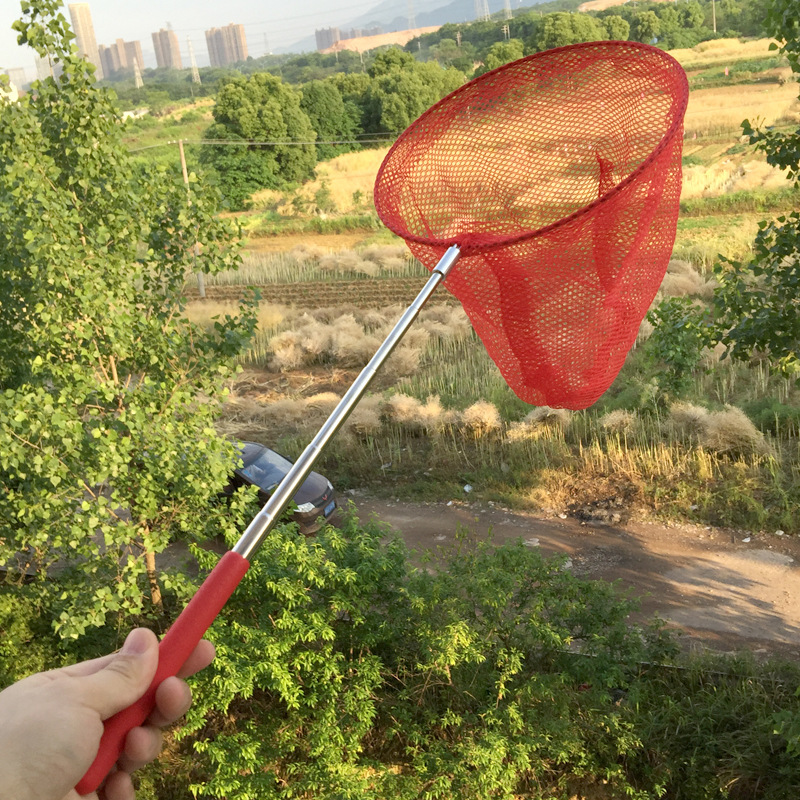 Сеть для детей из нержавеющей стали, сеть для ловли насекомых, сеть для ловли бабочек, сеть для ловли Рыбы в сетке, дразнящие игрушки, оптом pic 2