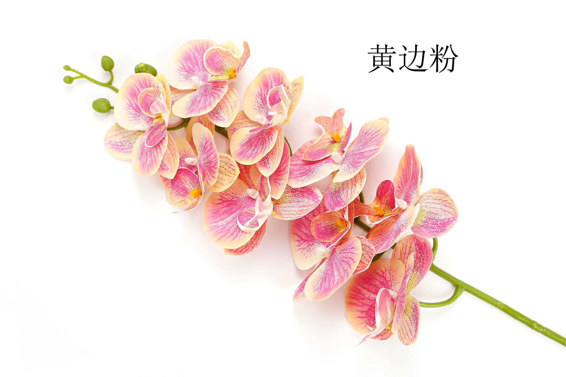 Artificial Phalaenopsis artificial flower home decoration artificial flower hand feel film 9-head Phalaenopsis artificial flower factory wholesale pic 12