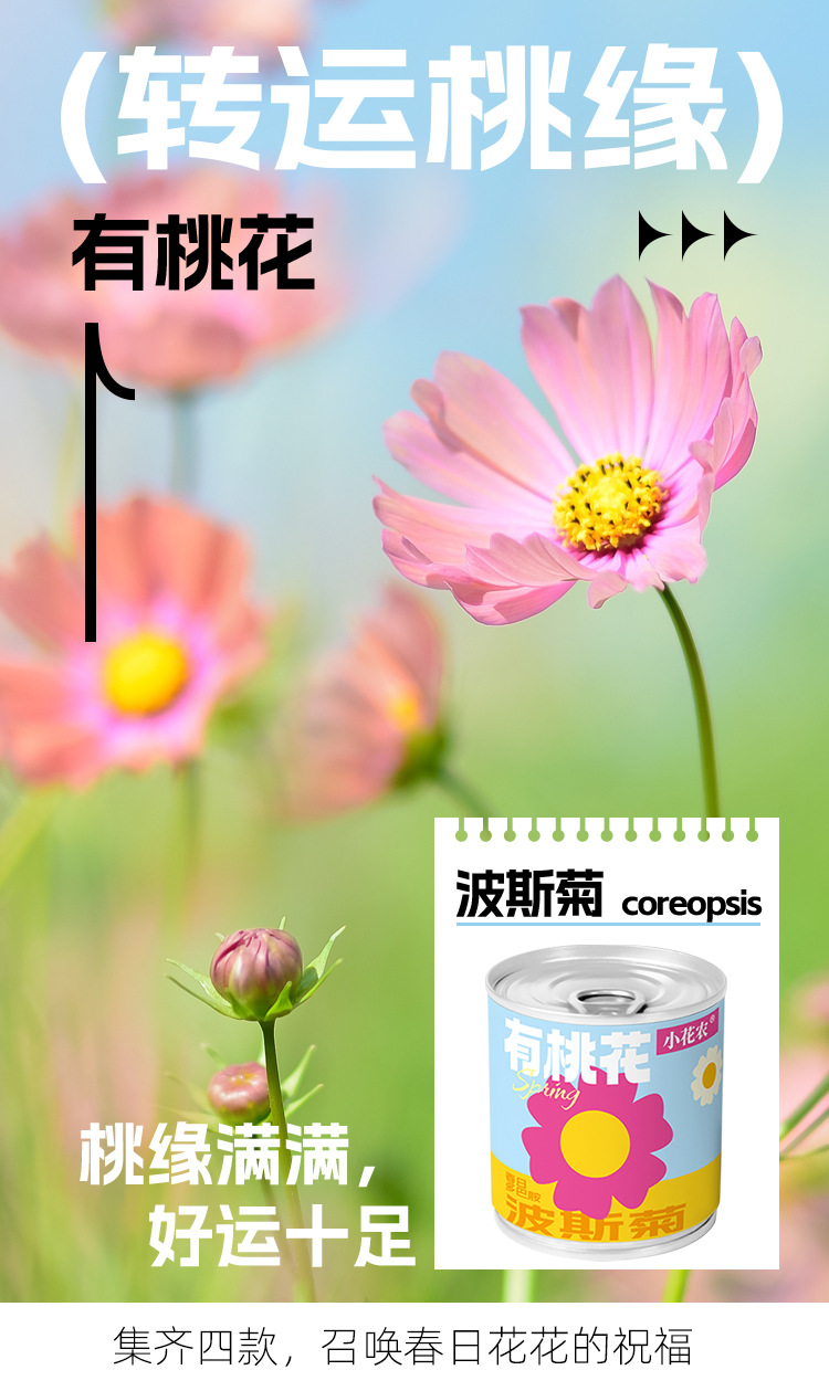 小学生科教玩具春天儿童种植迷你小盆栽花卉室内桌面种花易拉罐头详情12