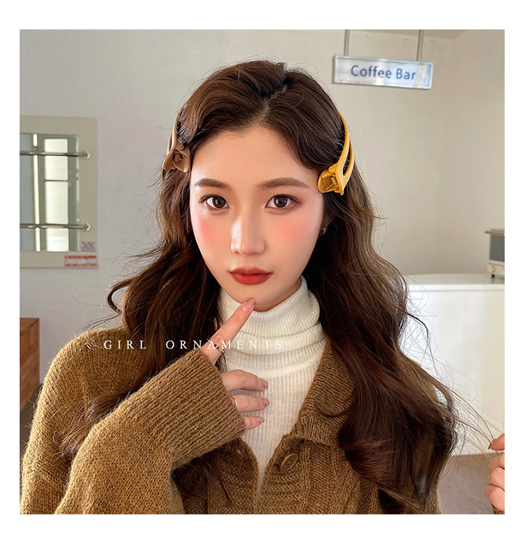 Large-sized hair clips for women, Korean style headwear, bangs clips, side hair clips, back of the head, duckbill clips, new plastic hair clips pic 27