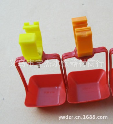 供应小鸡自动喂水器 宠物喂食器 宝杰宠物用品批发详情10