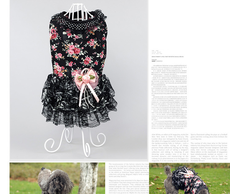 Summer new cool and cute dog dress, fashionable lace small floral cat dress pic 8