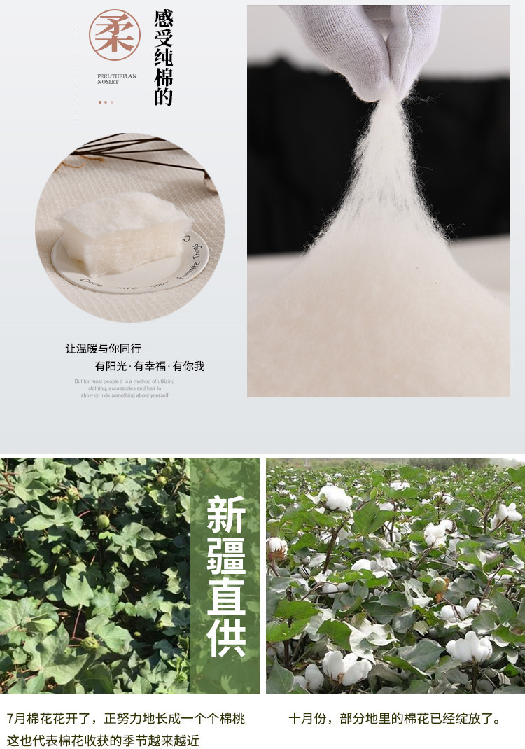 新疆棉花被A类长绒棉被芯加厚保暖冬被子棉胎学生宿舍床垫被批发详情4