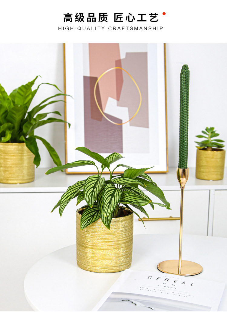 Chinagoods Du Qi Hotel supplies: European-style simple and creative ceramic brushed, gold-plated and silver succulent combination export flower POTS, handicrafts and flower vases pic 5