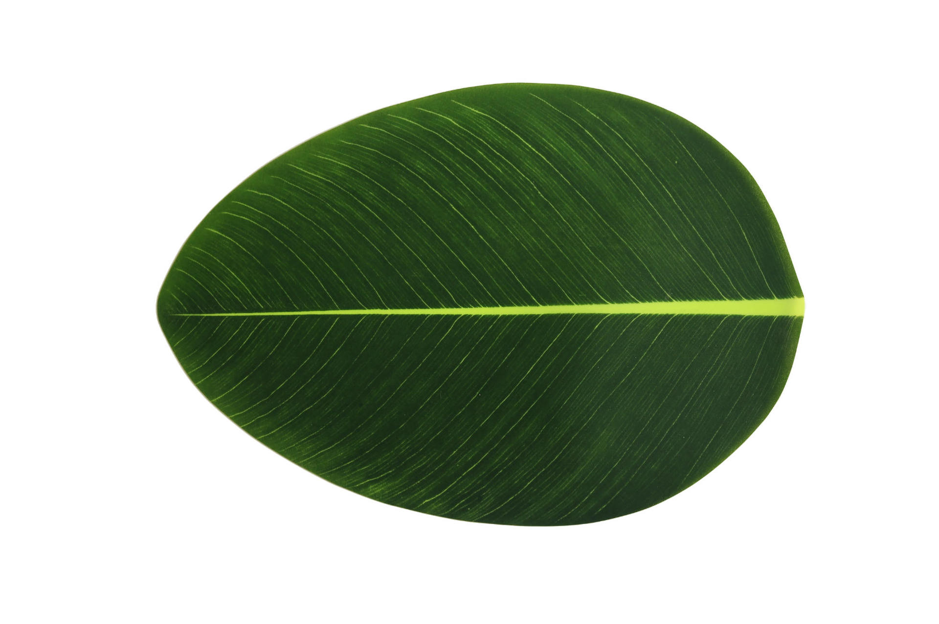 Cross-border artificial leaf PEVA Western-style placemats, home Nordic-style ins decorative placemats, waterproof, anti-slip and heat-insulating table MATS pic 11