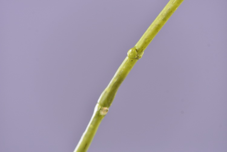 Factory supply of artificial hydrangeas, high-end hydrangea wholesale, wedding, home, hotel landscaping, main flowers, decorative artificial flowers pic 13