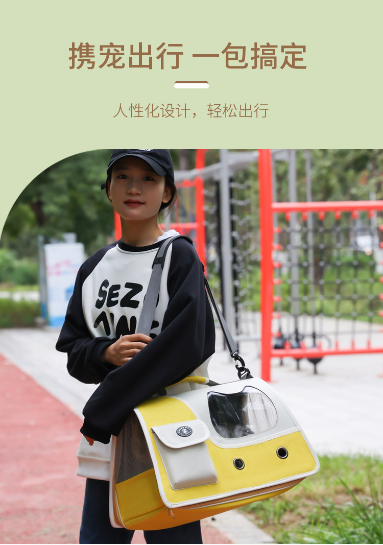 Pet handbag, suitable for all seasons, large-capacity portable cat bag, simple and breathable handbag, travel bag pic 11
