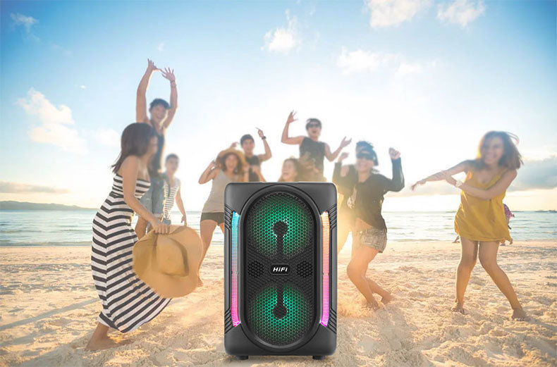 Dual 6.5-inch speaker RX-6219 home multi-functional portable Bluetooth speaker, outdoor high-volume basket tooth audio system pic 9