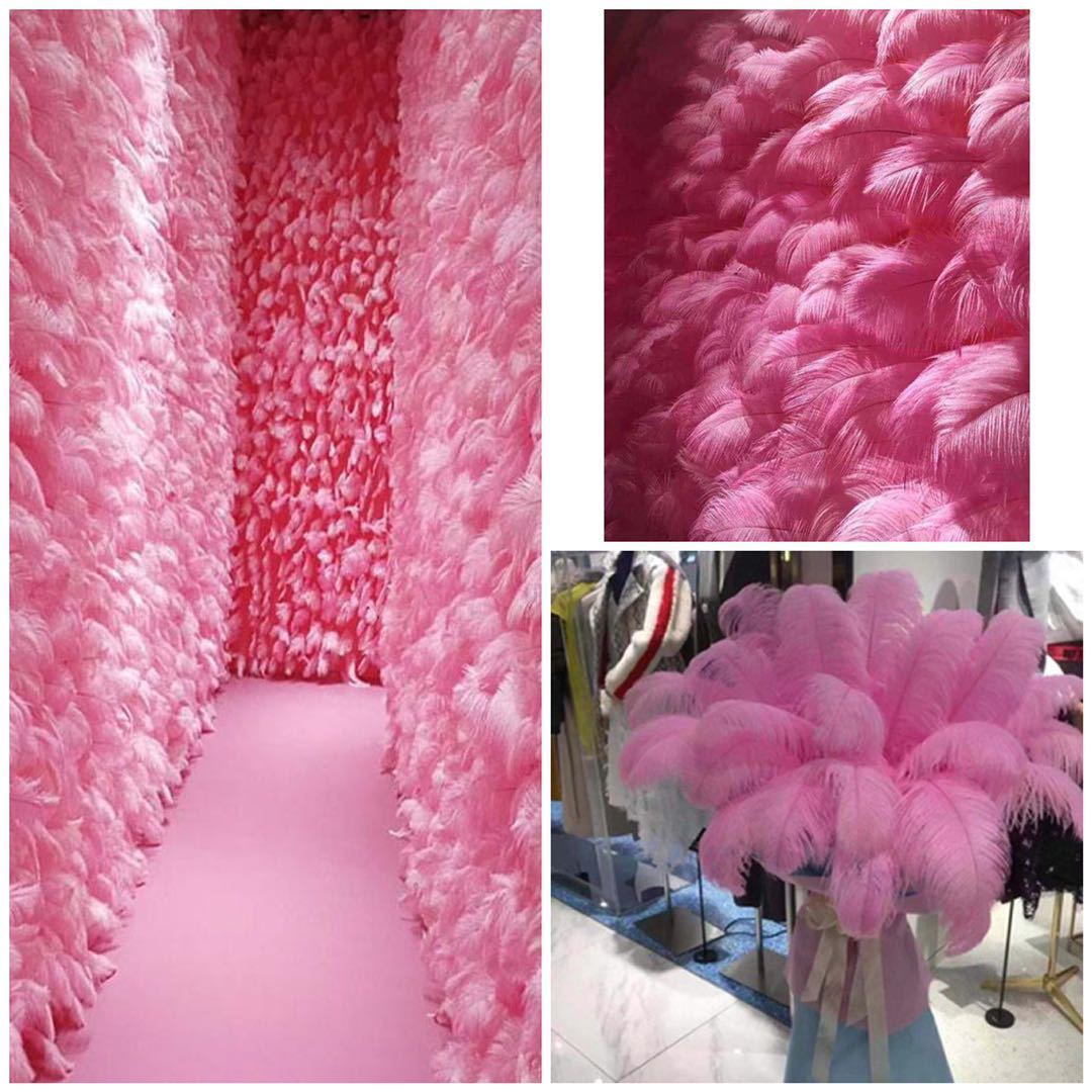 Colorful ostrich feathers 15-20cm, mask feathers, DIY accessories, wedding decoration props, ear-picking accessories, colorful feathers pic 31