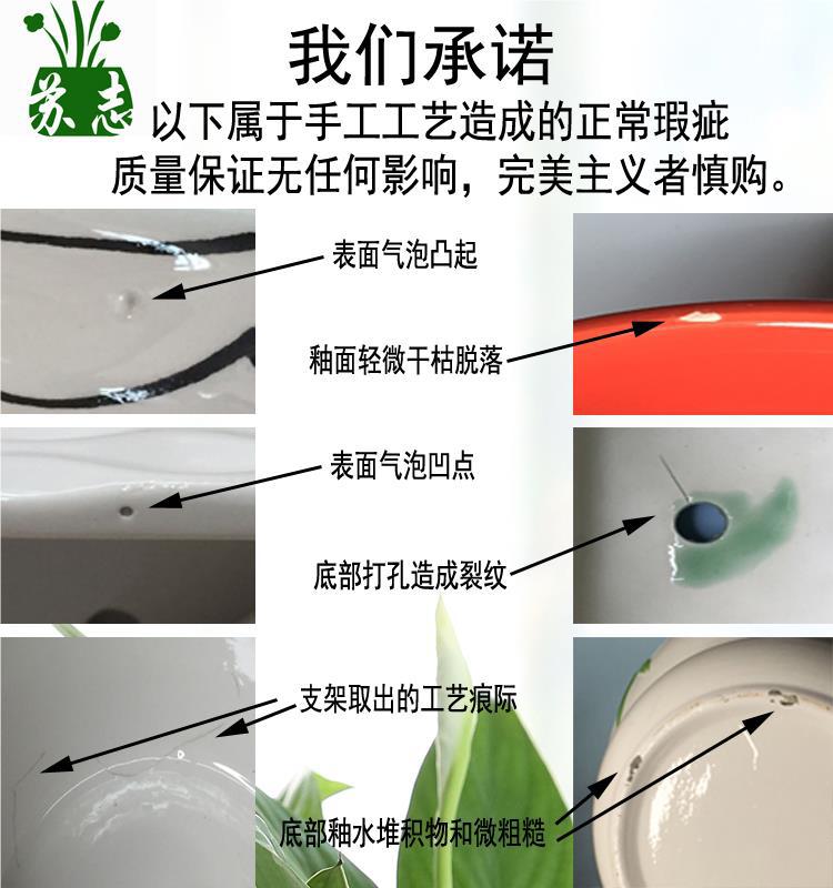 网红花盆陶瓷大号中号家用绿萝吊兰多肉绿植白色蝴蝶兰盆批发详情5