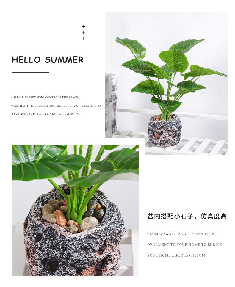 Nordic InS-style simulated pothos and turtle-back leaf potted plants, living room desktop simulated green plant potted plants, home decoration ornaments simulated potted plants pic 10