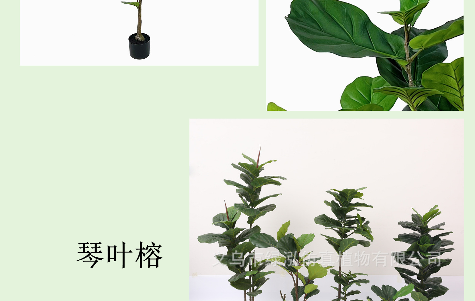 北欧风仿真琴叶榕盆栽 室内客厅装饰 大型仿真植物摆件橱窗布景详情5
