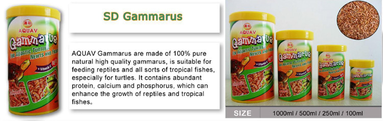 Wholesale fish feed, turtle feed, fish food, turtle food, dried hook shrimp Gammarus can be traded for export pic 1
