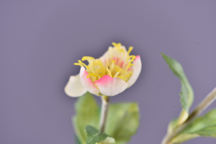 Dongli Flower Industry Factory directly sells artificial roses, ice mountain roses, home furnishings, hotels, shopping malls, wedding decorations, artificial flower bouquets, and high-end ornaments pic 72