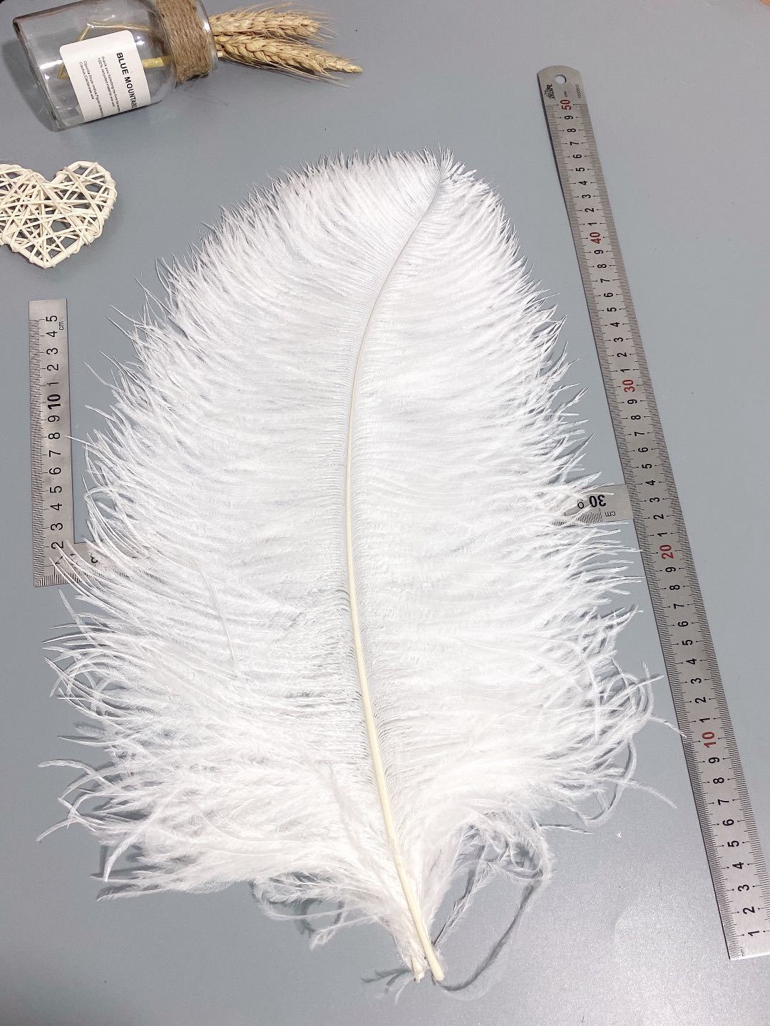 White ostrich feathers 50-55 cm, wedding decoration, home furnishings, flower arrangements, feather lamps, colorful ostrich feathers pic 32