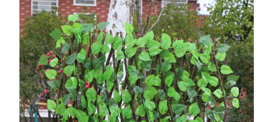 Artificial fence guardrail net, artificial grass fence net, artificial plant leaf fence, artificial rattan fence, artificial flower, artificial lawn, artificial tree, artificial rattan, artificial flower, artificial green pic 13