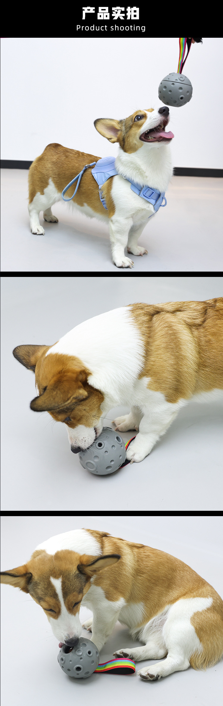 Cross-border new product: Dog toy ball, meteorite, sniff, leaky pet ball, hide and eat dog, pet toy, pet supplies pic 7