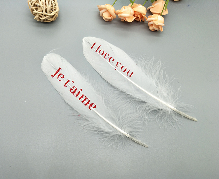 A large quill feather gift box with all-gold and all-silver feathers, paper card bookmarks and decorative quill pens pic 38