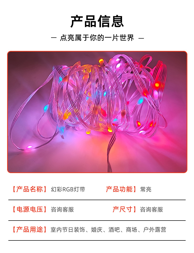 跨境高品质全铜线智能幻彩可蓝牙手机APP控制音乐功能点 控皮线灯详情4