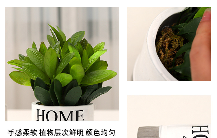 Nordic-style creative small clear cement POTS, artificial plant potted plants, office desk atmosphere decoration and arrangement pic 19