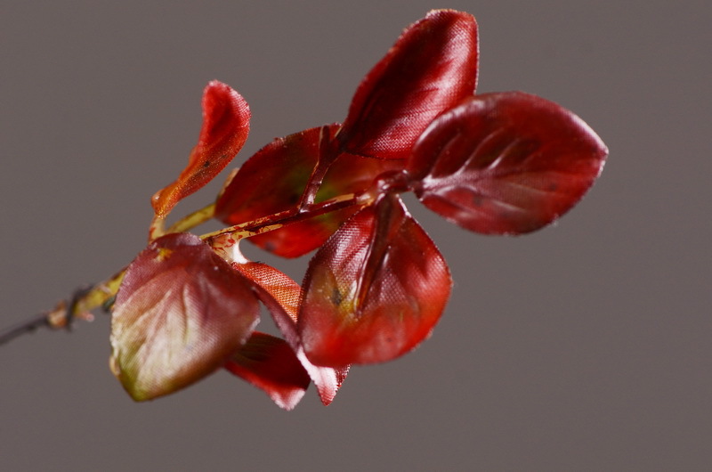 Flower Knowledge, simulating spring rain leaves, New Chinese-style Zen-inspired soft furnishings, flower leaf materials, simulating touch, autumn leaves, home decorations, floral art pic 22