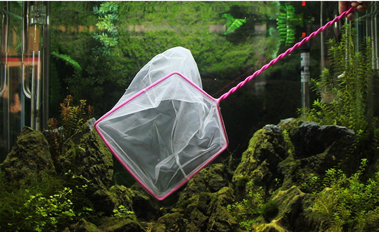 6-inch fish-catching net fish tanks, fishing net bags, golden fish tanks, hand-drawn net fish tanks, aquarium supplies wholesale pic 33