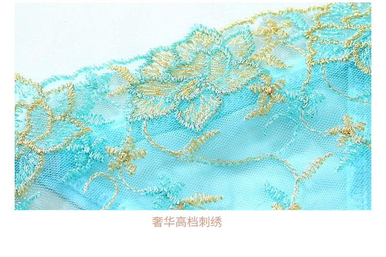 New mesh embroidery inner layer with French lingerie straps bra set for young ladies, sexy and cute, European style 672AA pic 21