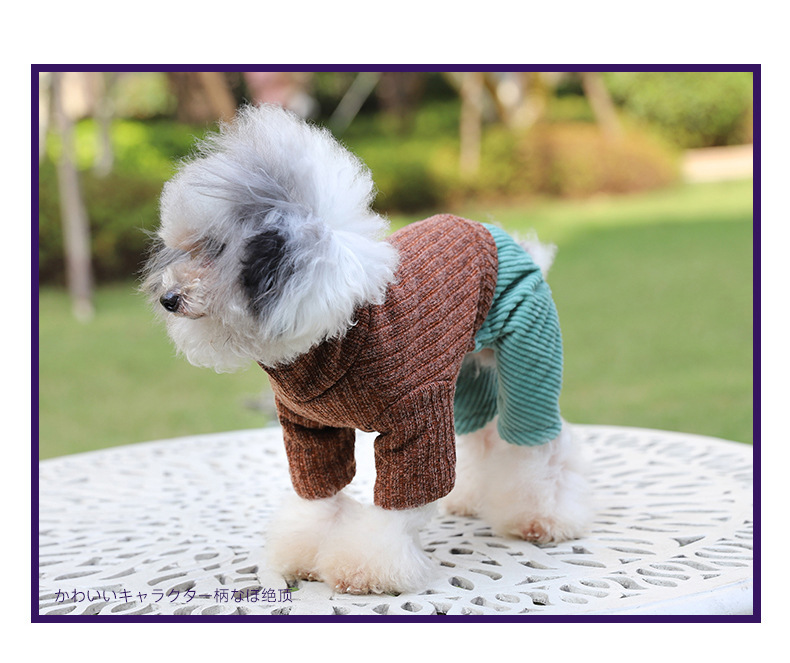 Pet suéter nuevo color sólido moda perro cuatro pies otoño invierno engrosado caliente cómodo cuello alto gato suéter pic 7