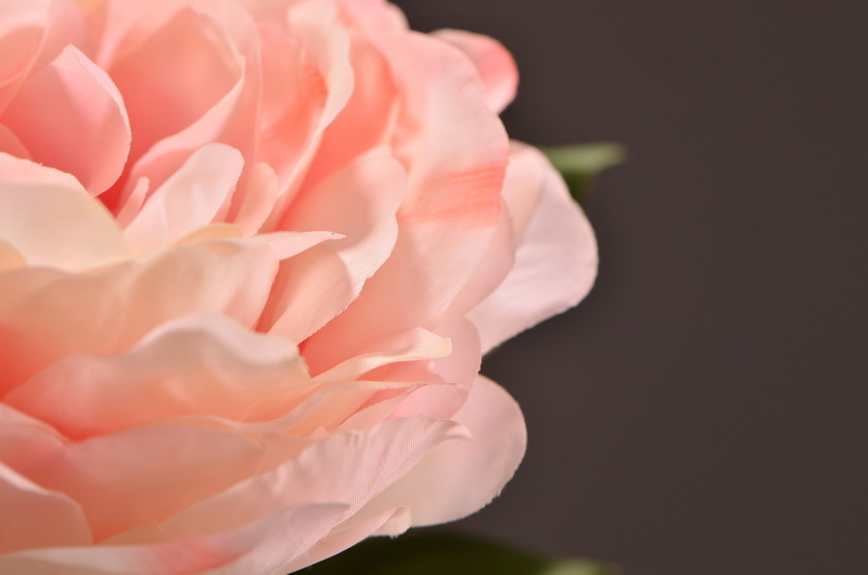 Wholesale of artificial large-branch peonies for home, hotel, restaurant soft decoration, artificial flowers and artificial paeonies from the manufacturer pic 8