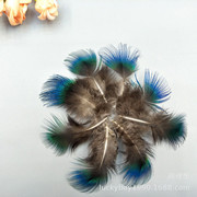 8c7cbf512f6c8ebe87c1a2a049aca0