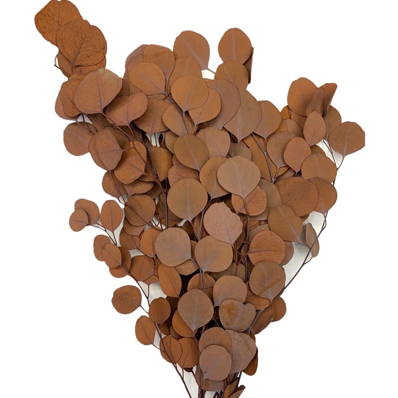 微信图片_20200414161854