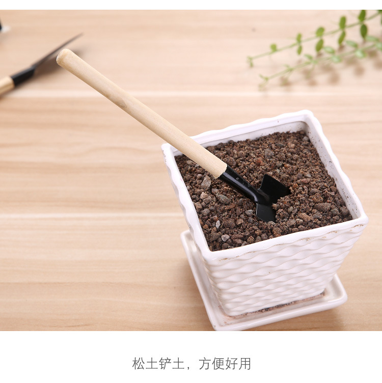 园艺工具三件套 迷你园林小铁铲/耙/锹 多肉植物盆栽种花松土铲详情4