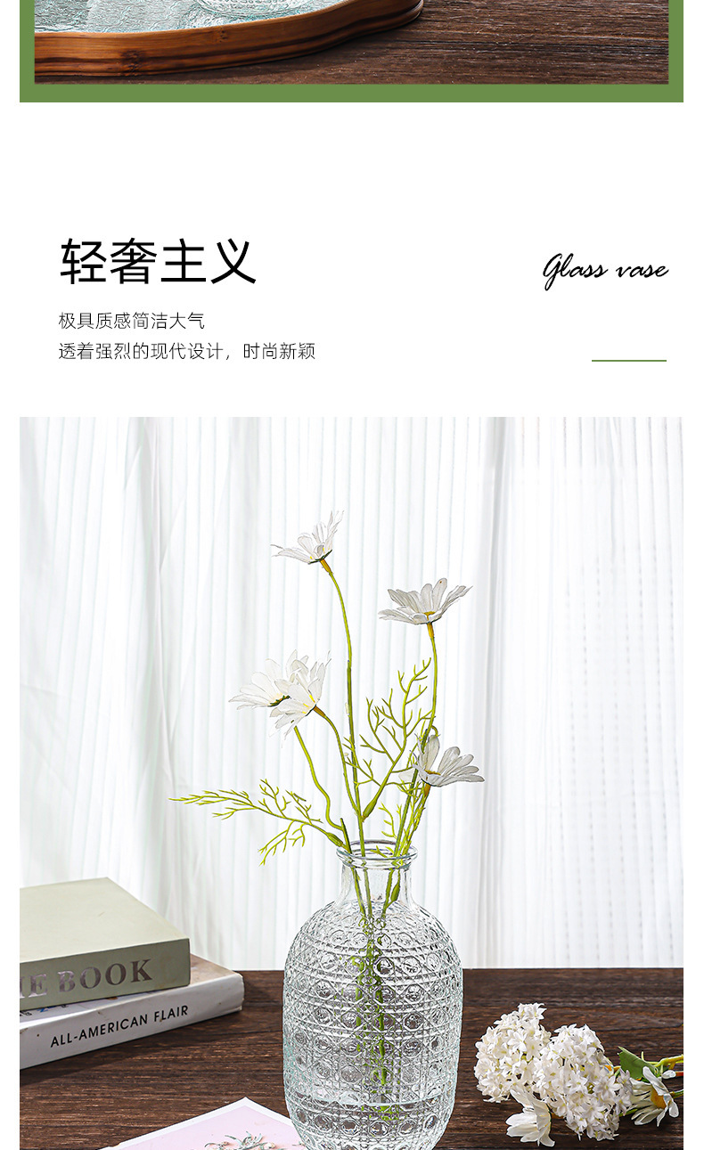 跨境新品 欧式风格 玻璃花瓶 ins风格 客厅桌面水养 插花瓶 创意装饰花瓶 水培摆设 其他分类详情4
