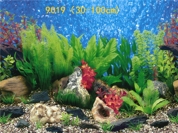 Wholesale export of 50cm high background painting, single-sided thin painting, 3D stereoscopic ecological aquarium sticker paper pic 43