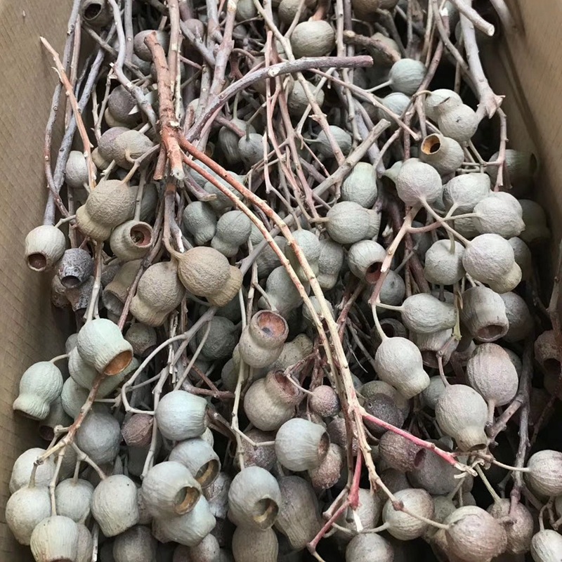 Natural plant dried flowers, bell fruits, one-piece bell flower arrangement, soft decoration handicrafts and accessories pic 5