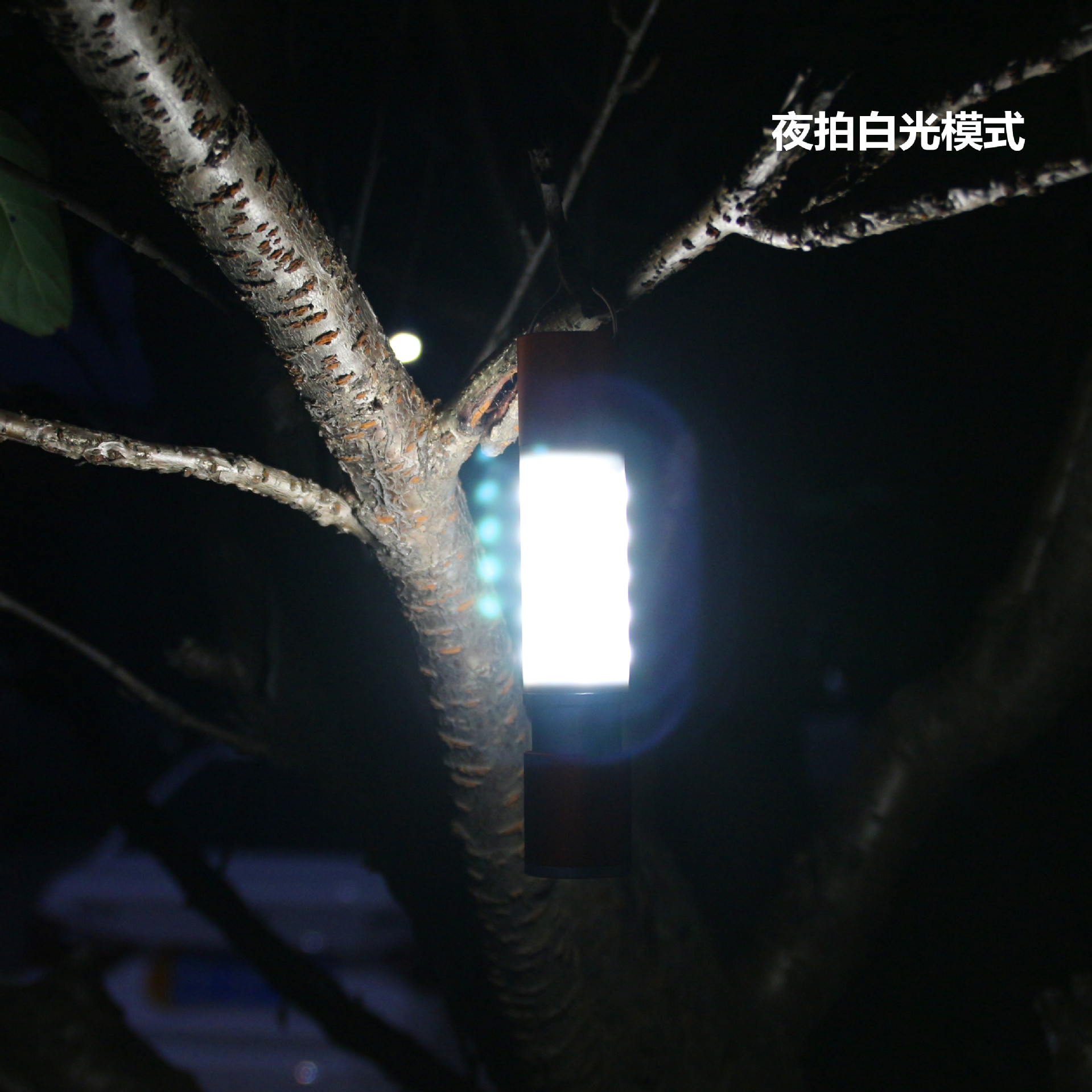 IMG_9747_副本.jpg