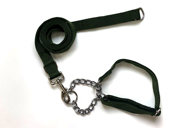 Aishangchong dog leash, dog chain, dog leash, collar, medium-sized Golden Retriever, double-layer leash, collar pic 6