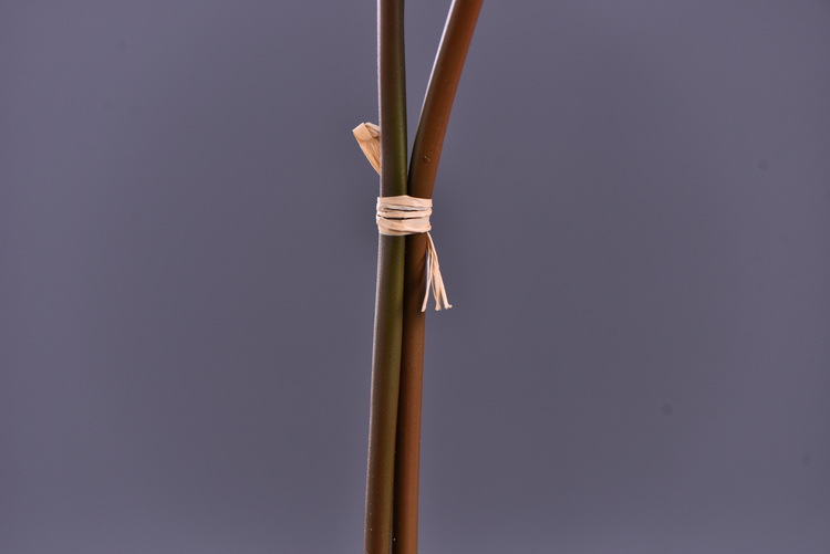 Wholesale manufacturer of artificial water lilies, direct sales of artificial flowers for wedding, home, hotel and homestay soft furnishings, artificial flowers, and photography props pic 9