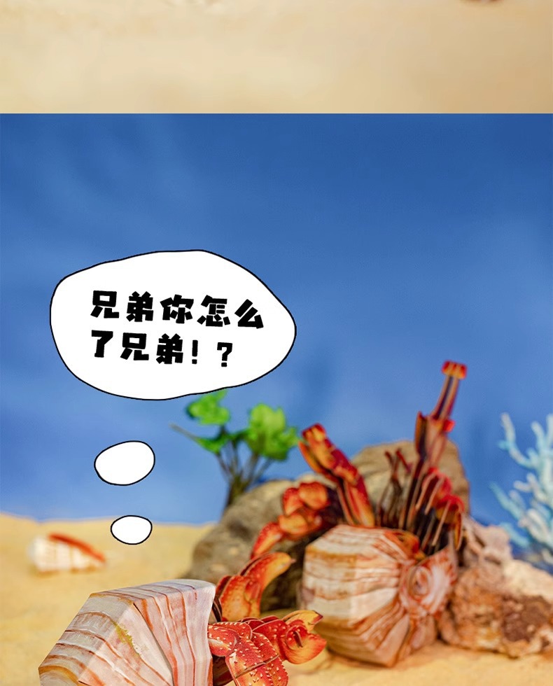 梦巴格3D立体纸拼图益智模型手工拼插装玩具自然科普橙红陆寄居蟹中国地理拼图详情8