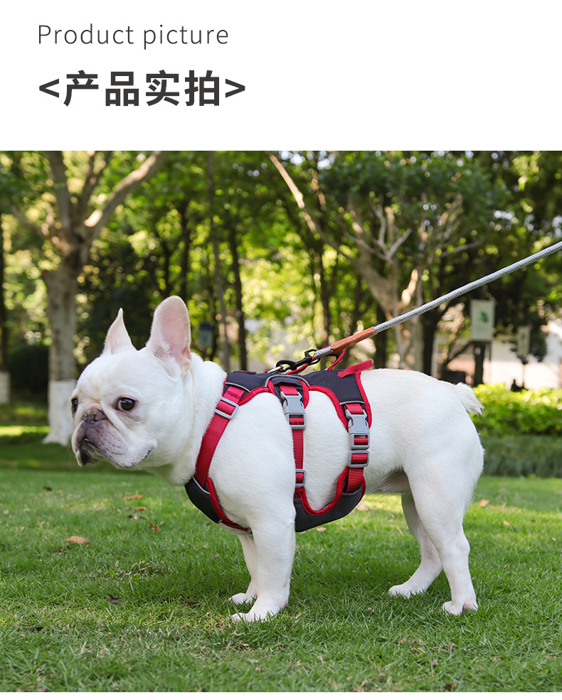 狗狗牵引绳中小型犬宠物胸背带反光防护减震狗狗胸背宠物牵引绳详情16