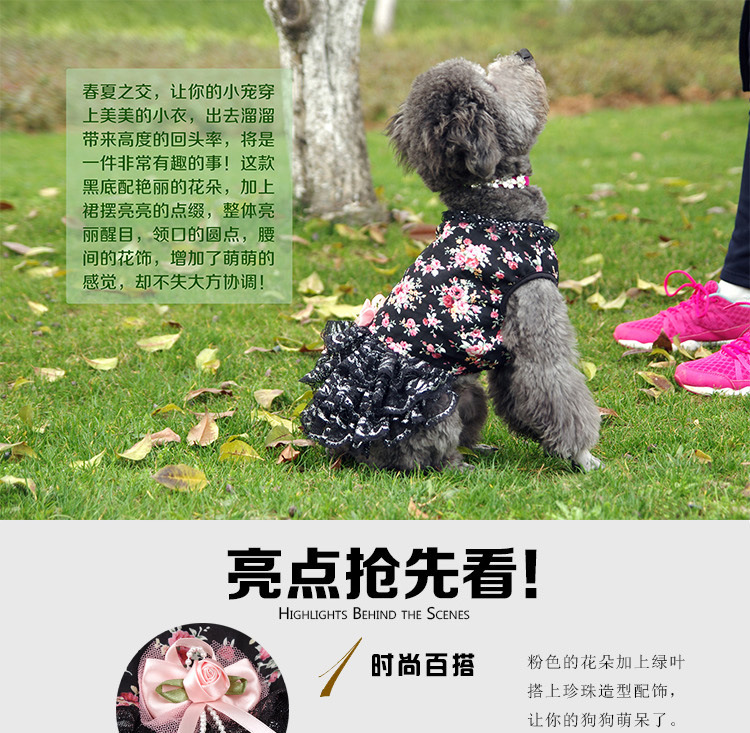 Summer new cool and cute dog dress, fashionable lace small floral cat dress pic 1