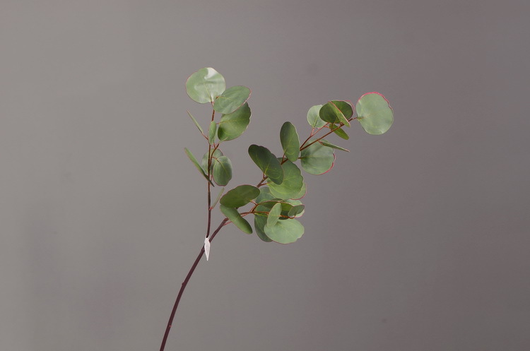 Dongli Flower Industry, the original manufacturer, offers direct sales of green plants in stock, wholesale of artificial leaves, round leaves with fruits, eucalyptus leaves, eucalyptus leaves, and one-piece consignment pic 45