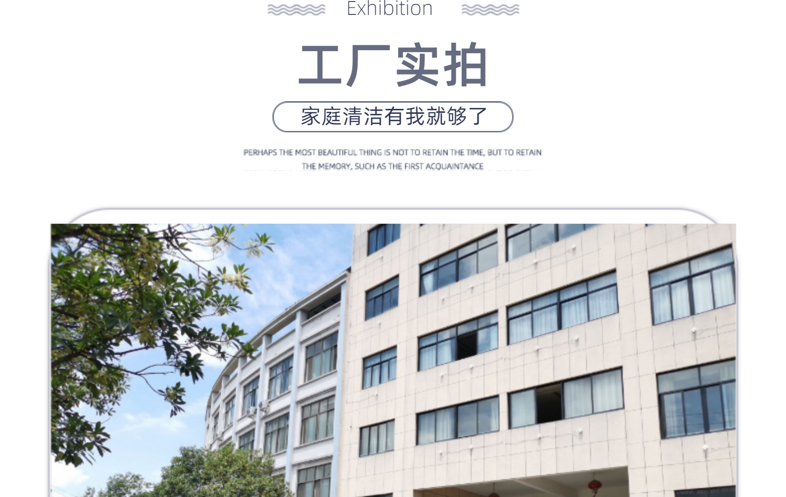 Kitchen cleaning sponge for scrubbing POTS and dishes with steel wire sponge block scrubbing King OKS pic 12