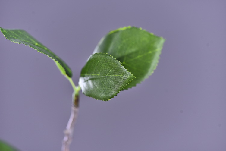 Wholesale of artificial apple branches, multi-leaf home decoration fruit branches, new Chinese-style New Year decoration berries from the manufacturer pic 22