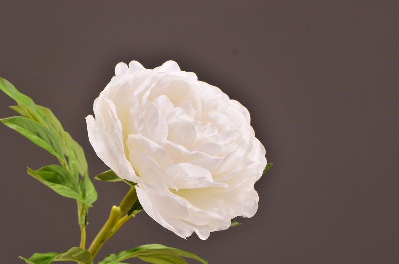 Wholesale of artificial large-branch peonies for home, hotel, restaurant soft decoration, artificial flowers and artificial paeonies from the manufacturer pic 29