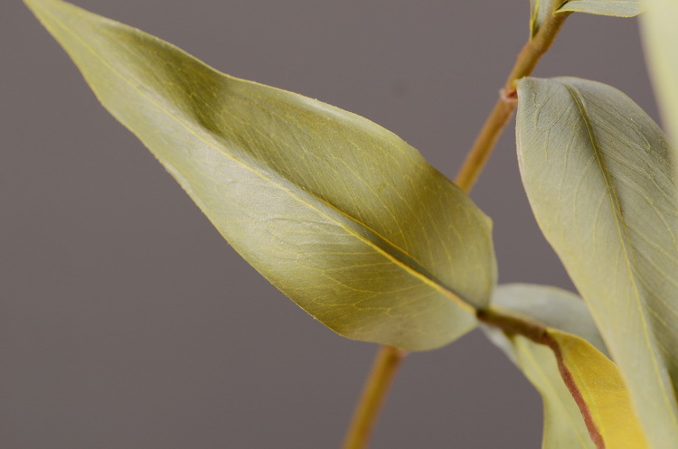 Dongli Flower Industry offers wholesale of artificial double-sided leaves, antler leaves, silver birch leaves, green plants, artificial green plants, indoor living room soft decoration, flower arrangement and matching materials pic 19