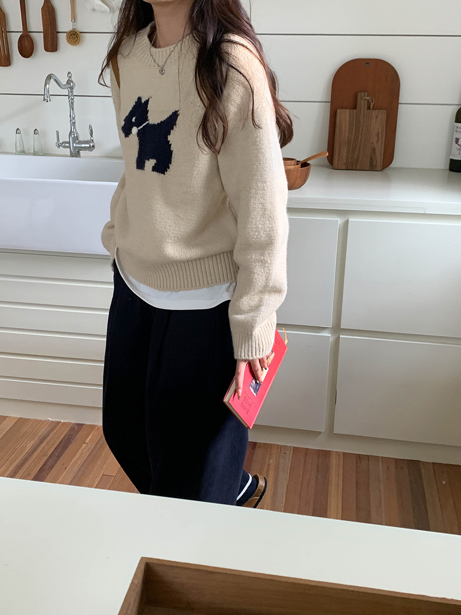 3th Morning North Island Park Korean Style Youthful Dog Embroidered Round Neck Pullover Sweater ZY2381 pic 66