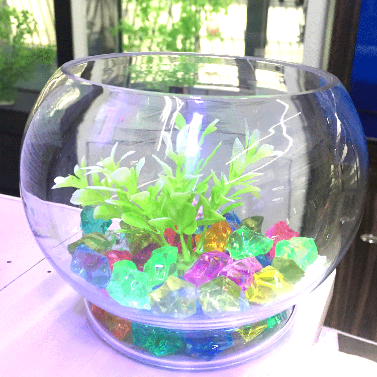 Baojie Aquarium offers wholesale of large, medium and small-sized round transparent glass fish tanks for fish and grass care decorations pic 2