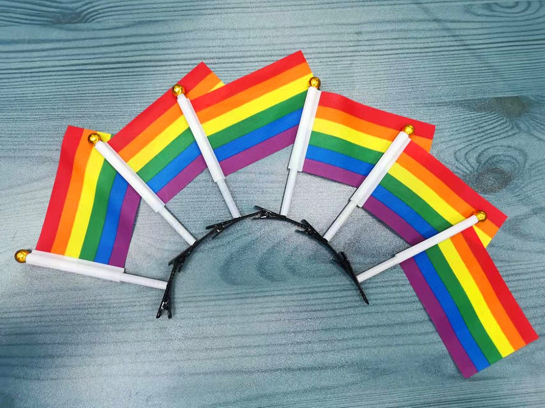 彩虹旗鸭嘴夹同志同性恋LGBT边夹发饰骄傲旗节日活动装饰旗帜详情6