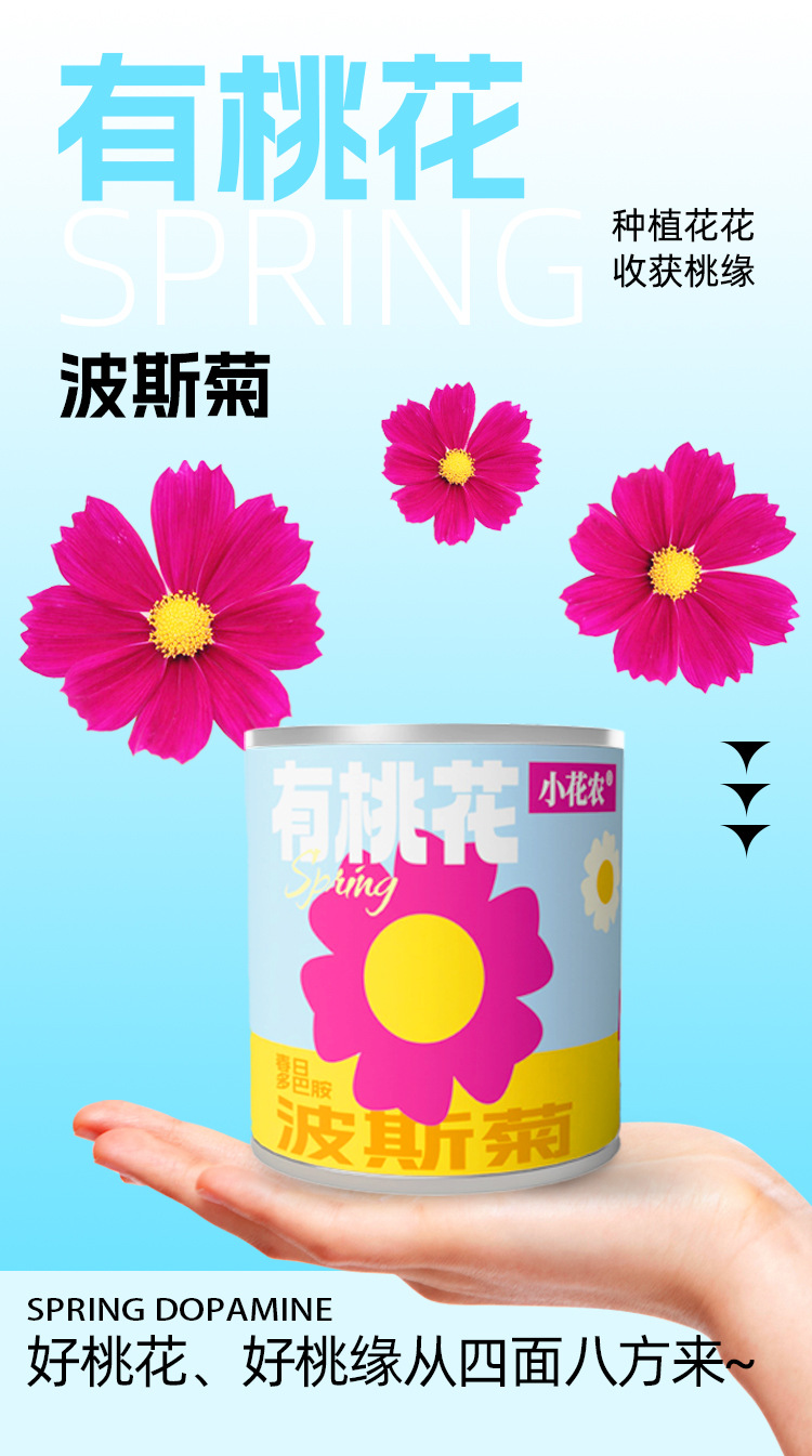小学生科教玩具春天儿童种植迷你小盆栽花卉室内桌面种花易拉罐头详情5